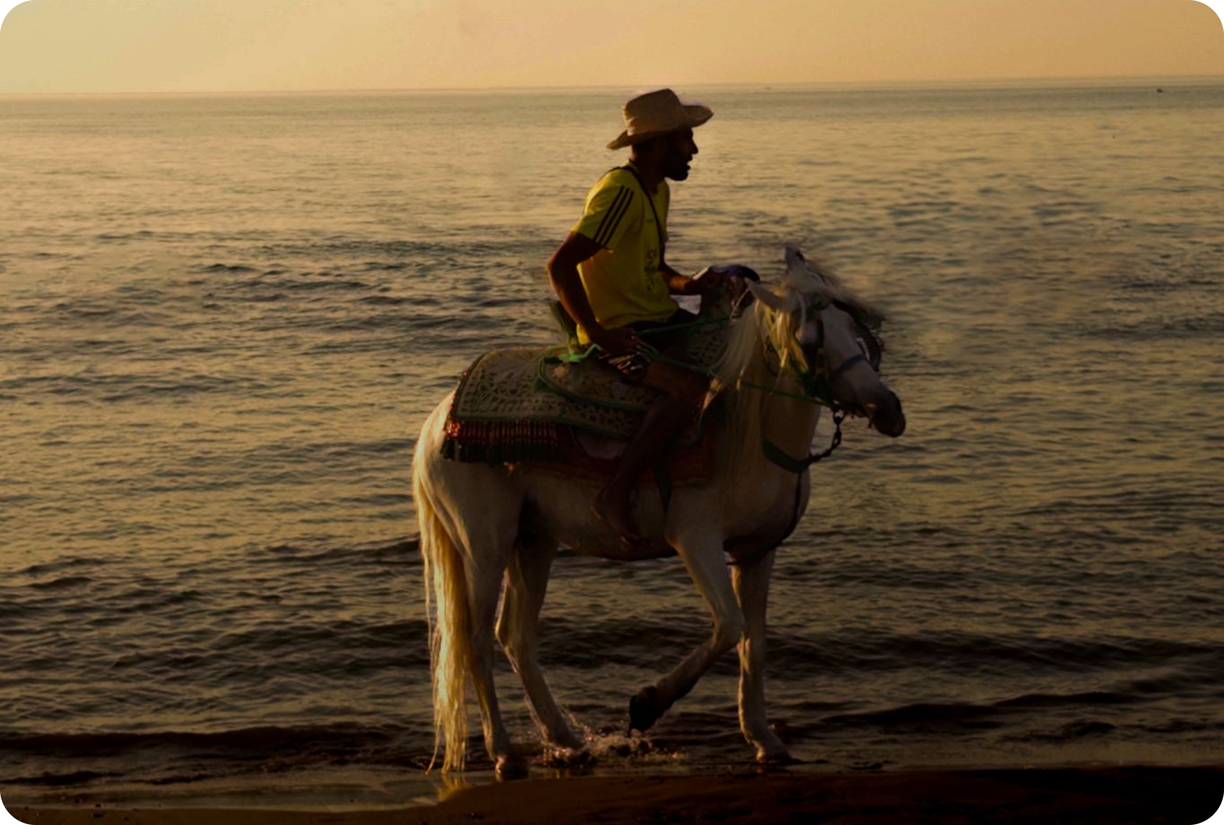 Man on horse in Morocco